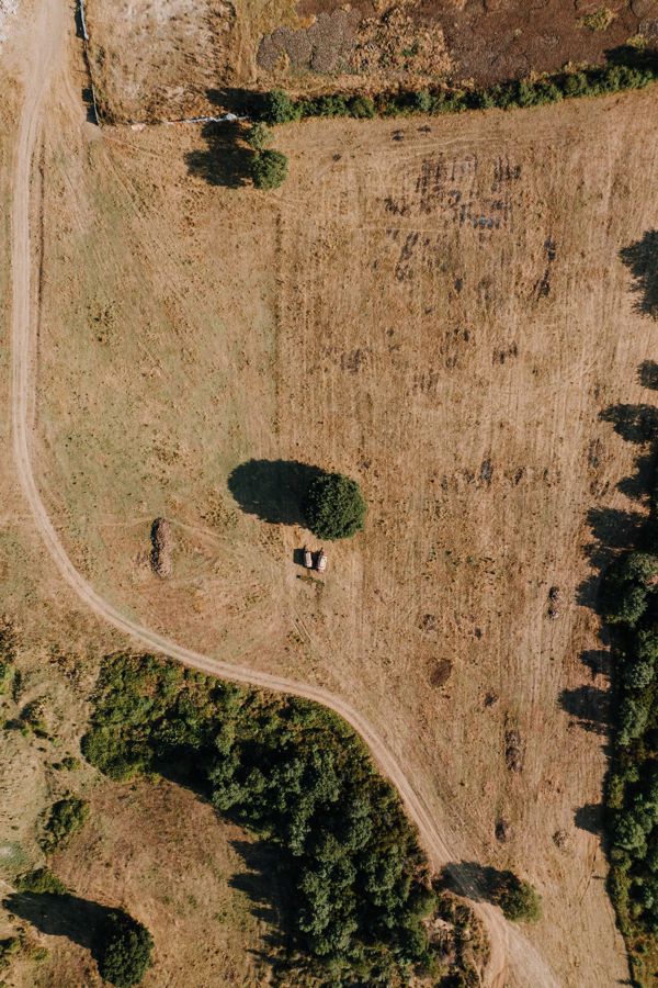 Karahasanlı'da 4.200 m² Tarla — Ana Yola 300 m