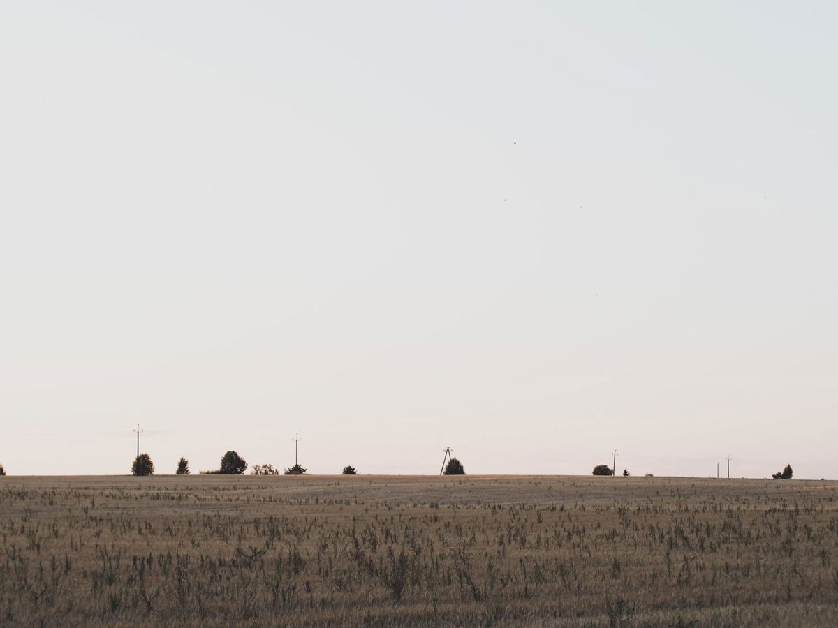 Ballıkuyumcu'da 5.600 m² Müstakil Tapulu Tarla