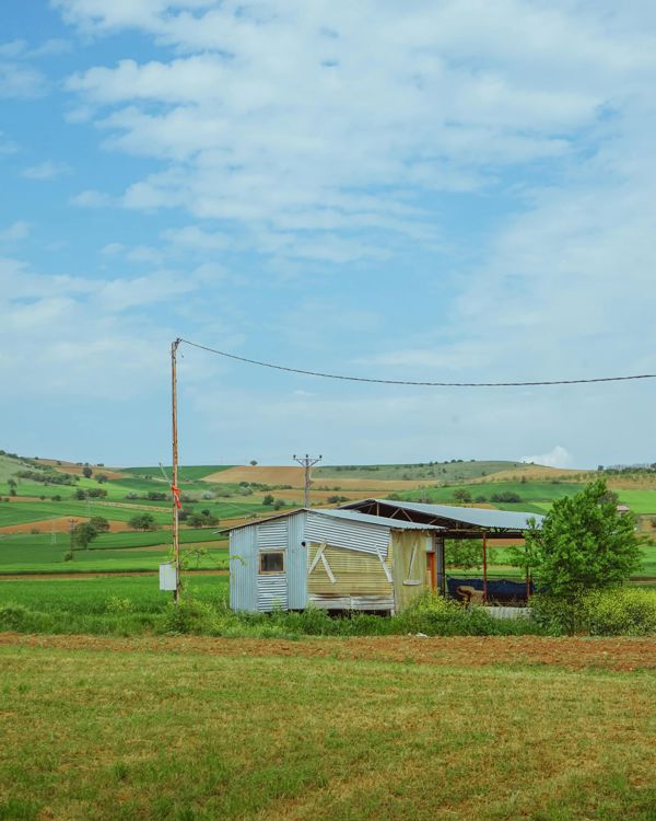Memlik'te 2.100 m² Bağ & Bahçe — Yol ve Su Kenarında