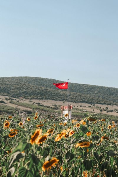 Karahasanlı'da 4.200 m² Tarla — Ana Yola 300 m